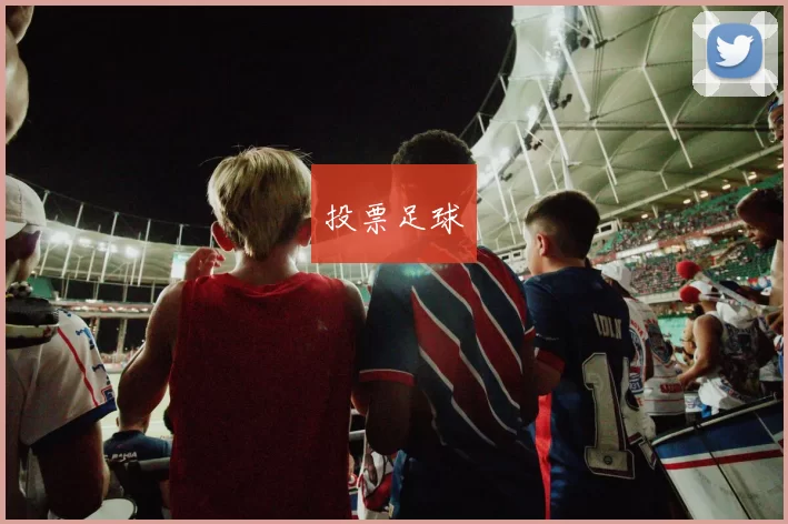 投票足球