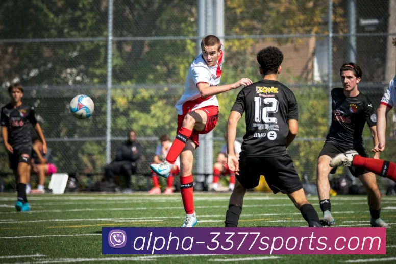 3377体育APP 封面图